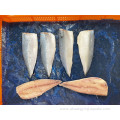 Chinese Seafood Frozen Fish Mackerel Fillets For Market